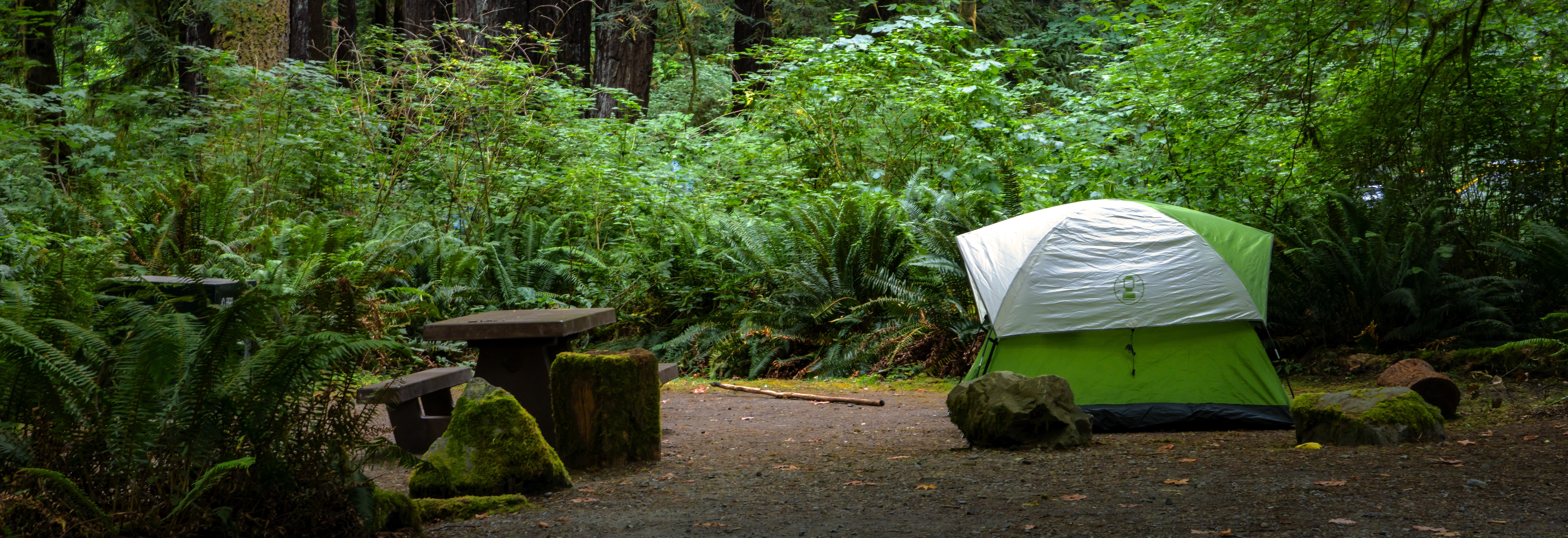 Tent and picnic table in a forest.